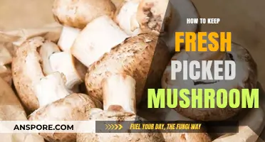 Preserving Perfection: Tips for Storing Freshly Picked Mushrooms at Home
