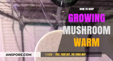 Effective Tips to Maintain Optimal Warmth for Growing Mushrooms