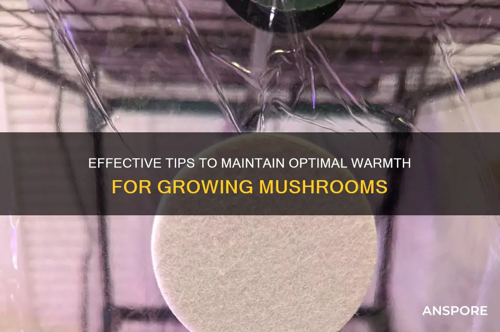 how to keep growing mushroom warm