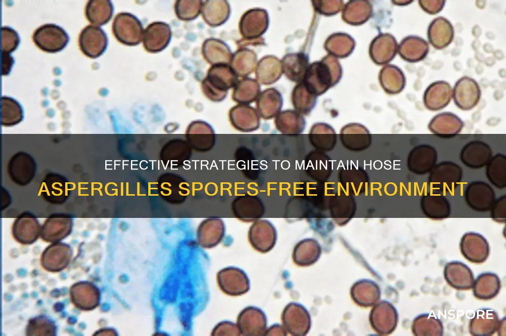 how to keep hose aspergilles spores free