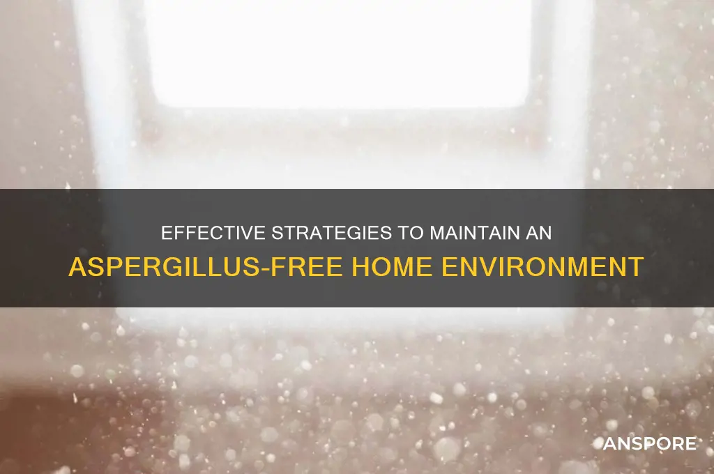 how to keep house aspergilles spores free