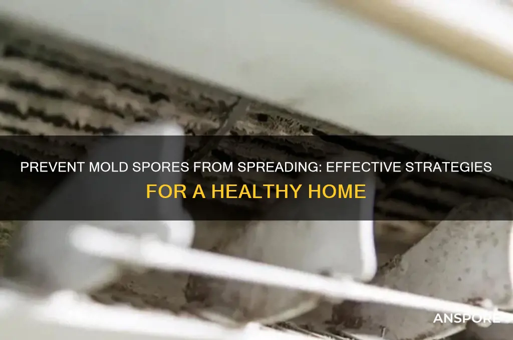 how to keep mold spores from spreading