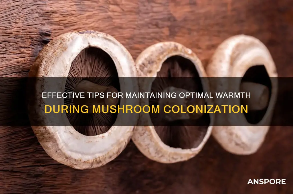 how to keep mushroom colonization warm