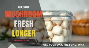 Extend Mushroom Freshness: Simple Tips for Longer Storage and Quality