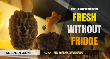 Preserving Mushrooms: Simple Tips to Keep Them Fresh Without Refrigeration