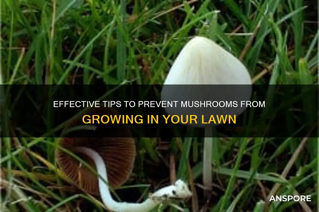 how to keep mushroom from grass