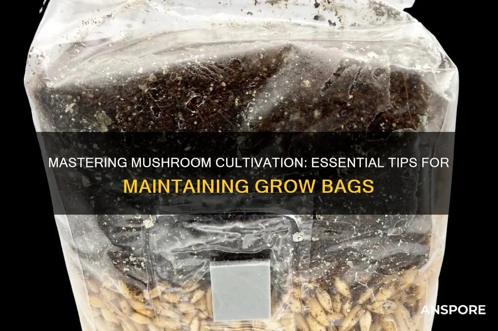 how to keep mushroom grow bags