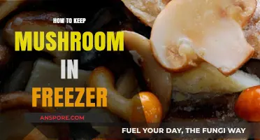 Easy Tips for Freezing Mushrooms to Preserve Freshness Longer