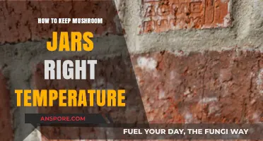 Maintaining Optimal Temperature for Mushroom Jars: A Complete Guide