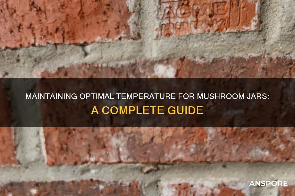 how to keep mushroom jars right temperature