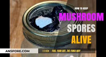 Preserving Mushroom Spores: Essential Tips for Long-Term Viability and Growth