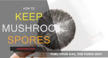 Preserving Mushroom Spores: Techniques for Longevity