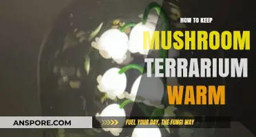 Maintaining Optimal Warmth for Your Mushroom Terrarium: Expert Tips