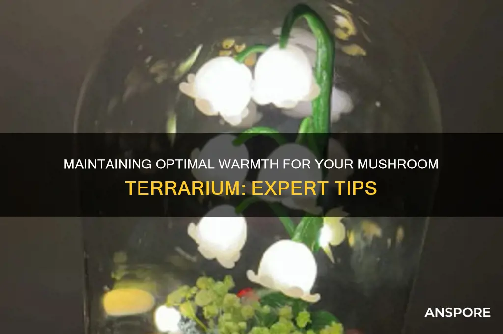 how to keep mushroom terrarium warm