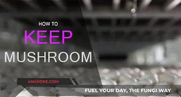 The Ultimate Guide to Storing Mushrooms