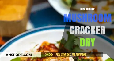 Effective Tips to Keep Your Mushrooms Crispy and Dry