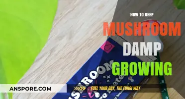 Maintaining Optimal Moisture for Healthy Mushroom Growth: Essential Tips