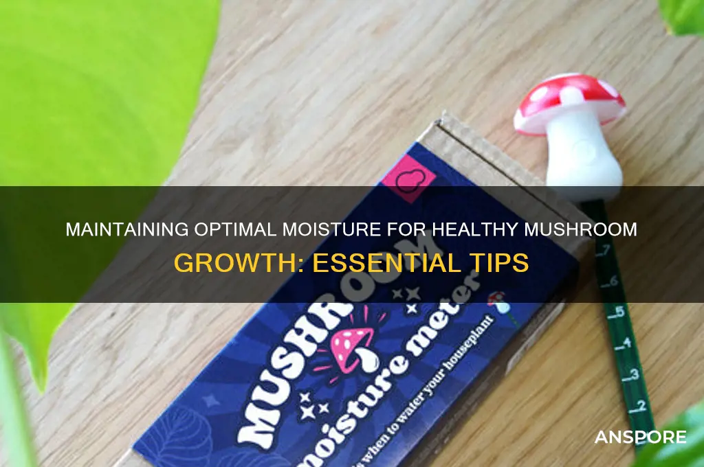 how to keep mushrooms damp growing