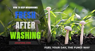 Washing Mushrooms? Here’s How to Keep Them Fresh Longer