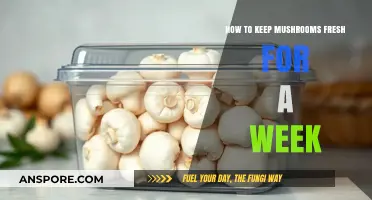 Extend Mushroom Freshness: Simple Tips for a Week-Long Storage