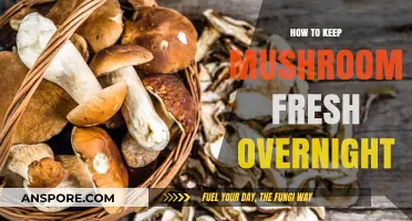 Quick Tips for Preserving Mushrooms Freshness Overnight: A Guide