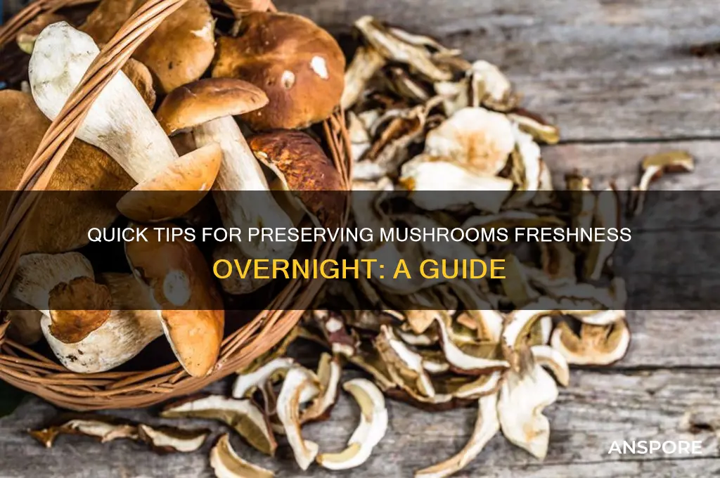 how to keep mushrooms fresh overnight