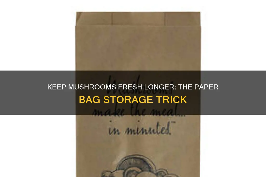 how to keep mushrooms fresh paper bag