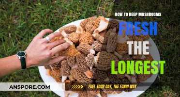 Maximize Mushroom Freshness: Expert Tips for Long-Lasting Storage