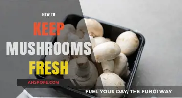 Keep Mushrooms Fresh: Best Storage Hacks