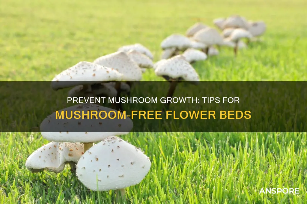 how to keep mushrooms from coming up in flower beds