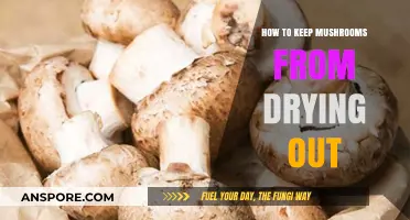 Prevent Mushroom Dryness: Simple Storage Tips for Freshness and Flavor