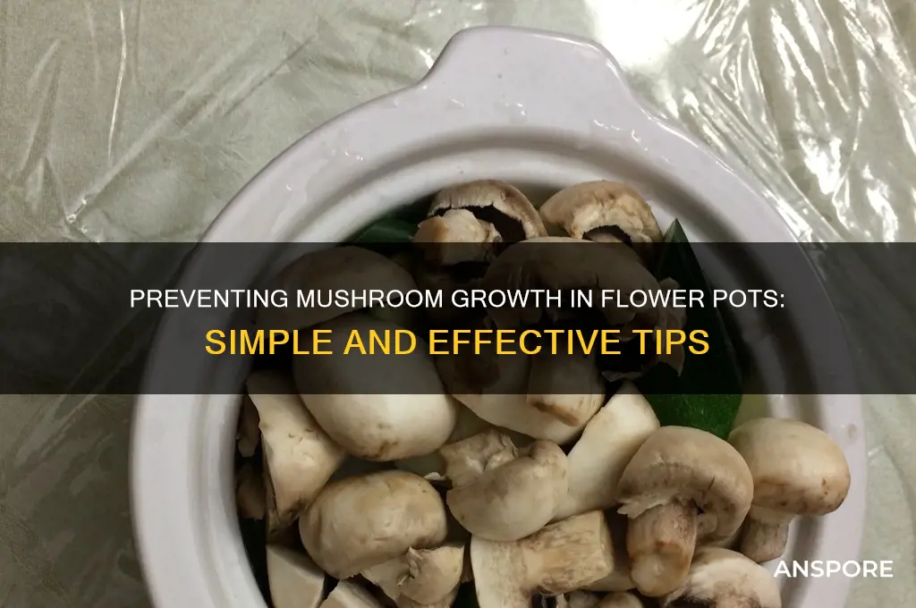 how to keep mushrooms from growing in flower pots