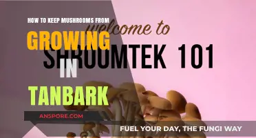 Prevent Mushroom Growth in Tanbark: Effective Tips and Strategies