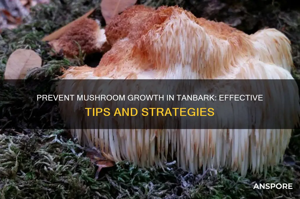 how to keep mushrooms from growing in tanbark