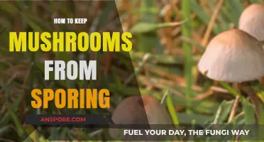 Prevent Mushroom Sporing: Effective Techniques for Clean Cultivation