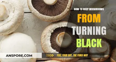 Preventing Mushroom Discoloration: Tips to Keep Them Fresh and Vibrant