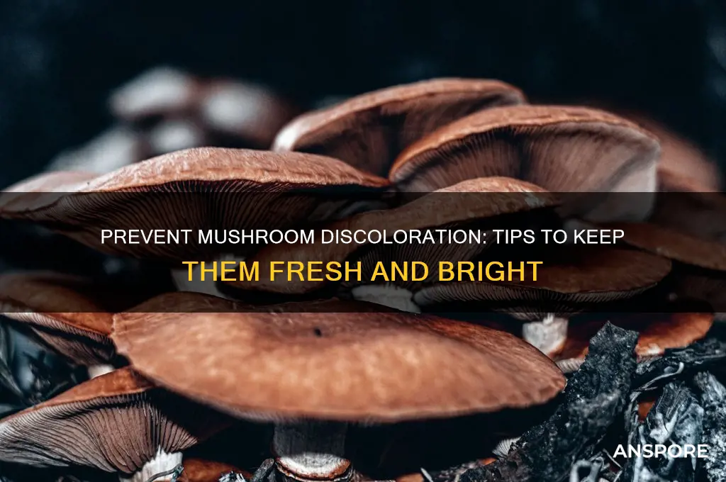 how to keep mushrooms from turning dark