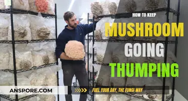 Mastering Mushroom Cultivation: Tips to Keep Your Mushrooms Growing Strongly