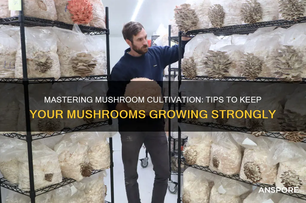 how to keep mushrooms going thumping