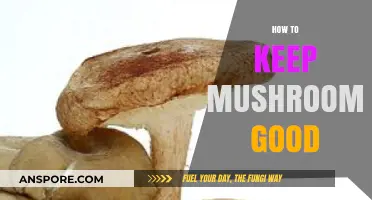 Fresh and Flavorful: Expert Tips to Preserve Mushrooms Perfectly