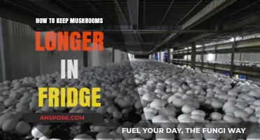 Extend Mushroom Freshness: Smart Tips for Longer Fridge Storage