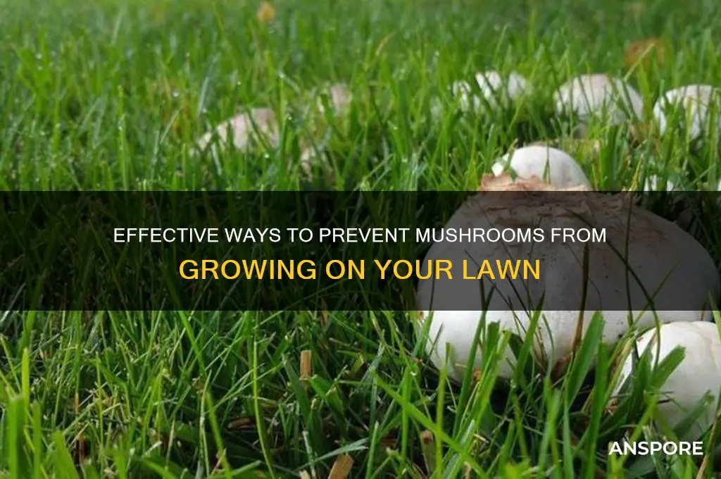 how to keep mushrooms off your lawn
