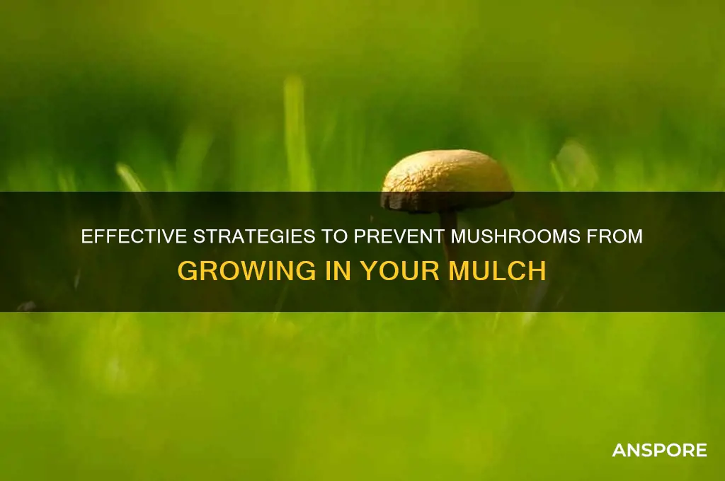 how to keep mushrooms out of mulch