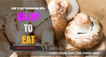 Fresh Mushroom Storage Tips: Keep Your Fungi Perfect Until Ready to Eat