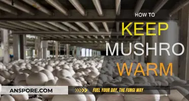 Keeping Mushrooms Warm: Tips and Tricks