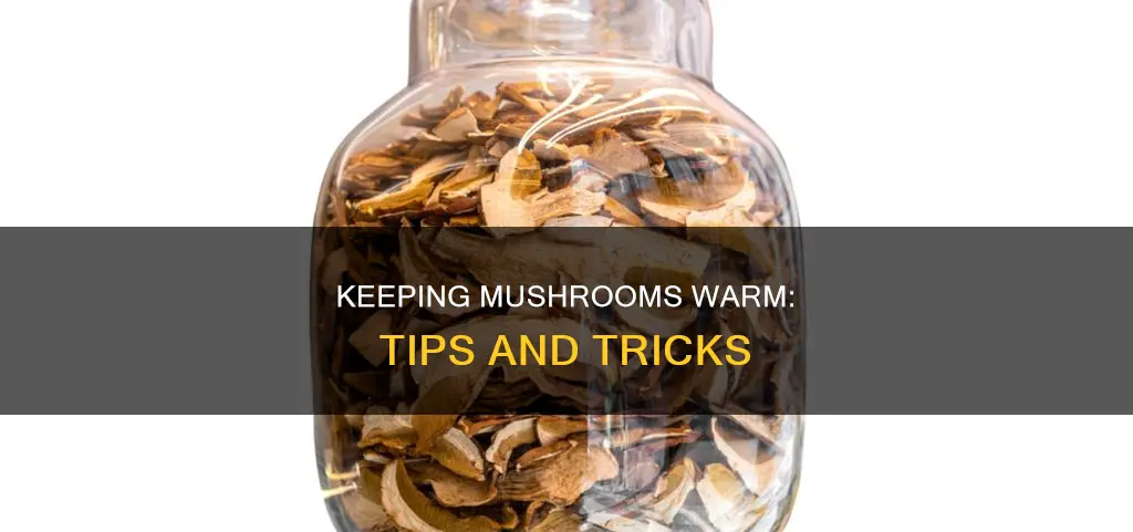 how to keep mushrooms warm