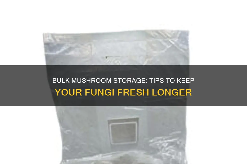how to keep mushrooms when buying in bulk