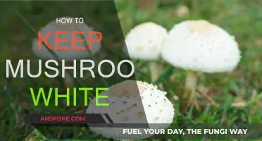 Keeping Mushrooms Pristine: A Guide to Maintaining Whiteness