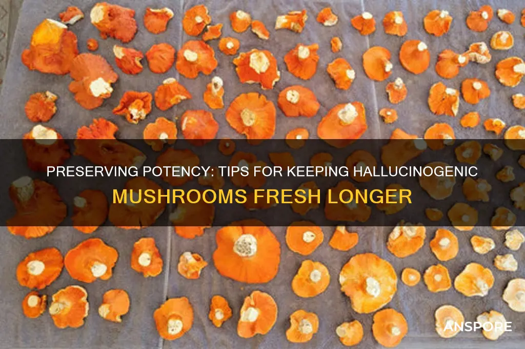 how to keep my hallucinagenic mushrooms fresh