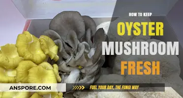 Fresh Oyster Mushrooms: Simple Storage Tips for Longer Shelf Life